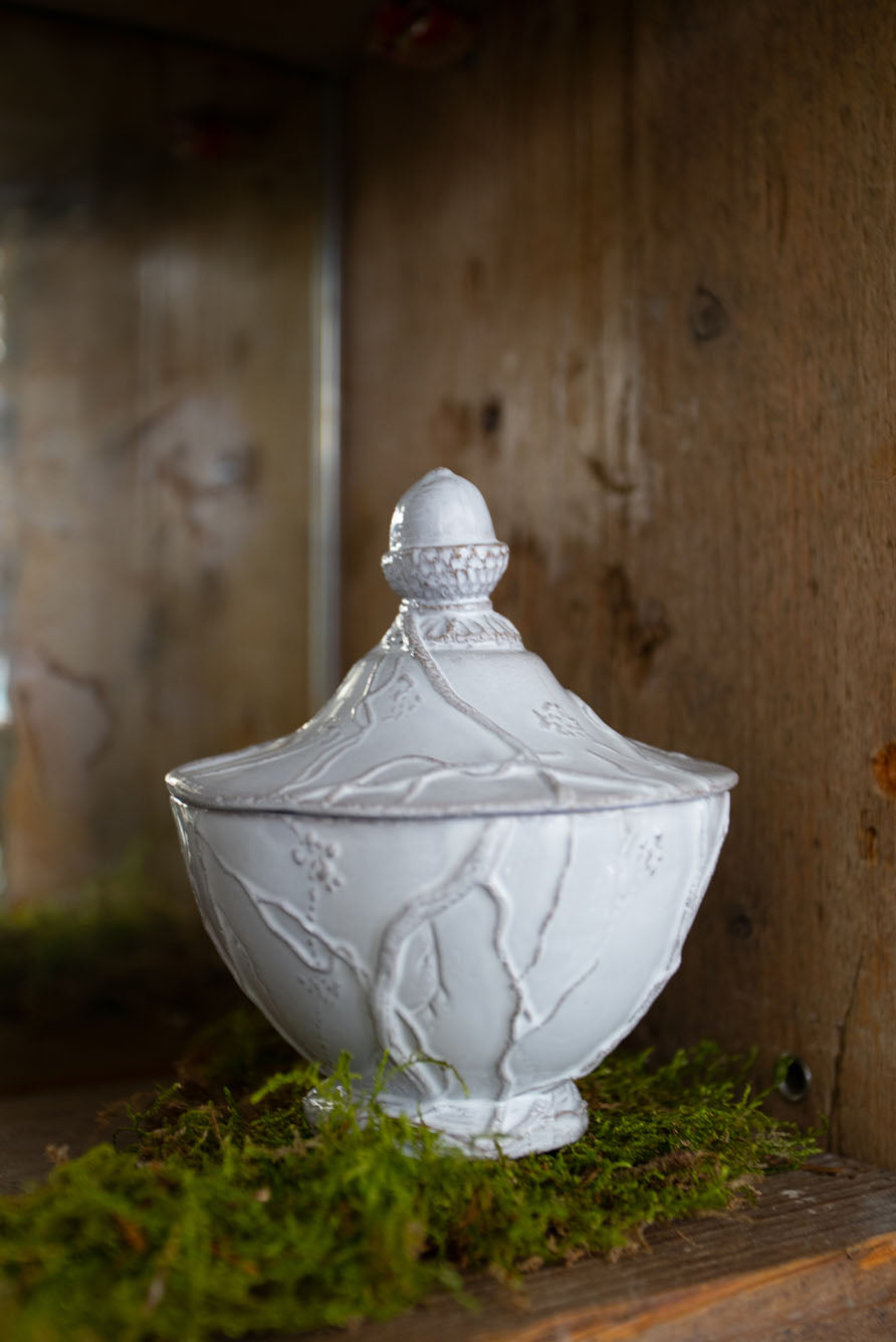 Eva Climbing Branches Sugar Bowl by Astier de Villatte, 10 x 10 x 12cm