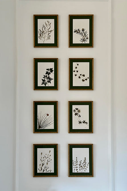 Set of Six 'Gastronomic' Herb Linen Napkins, 50x50cm