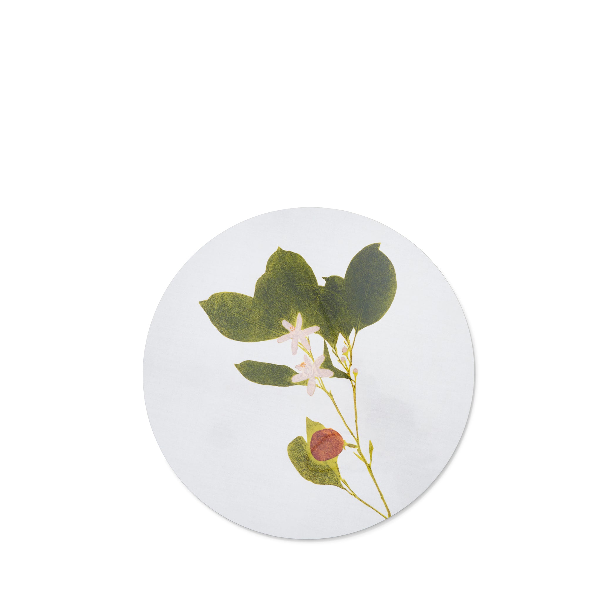 Herbarium Round Cork-backed Placemat in Citrus, 34cm