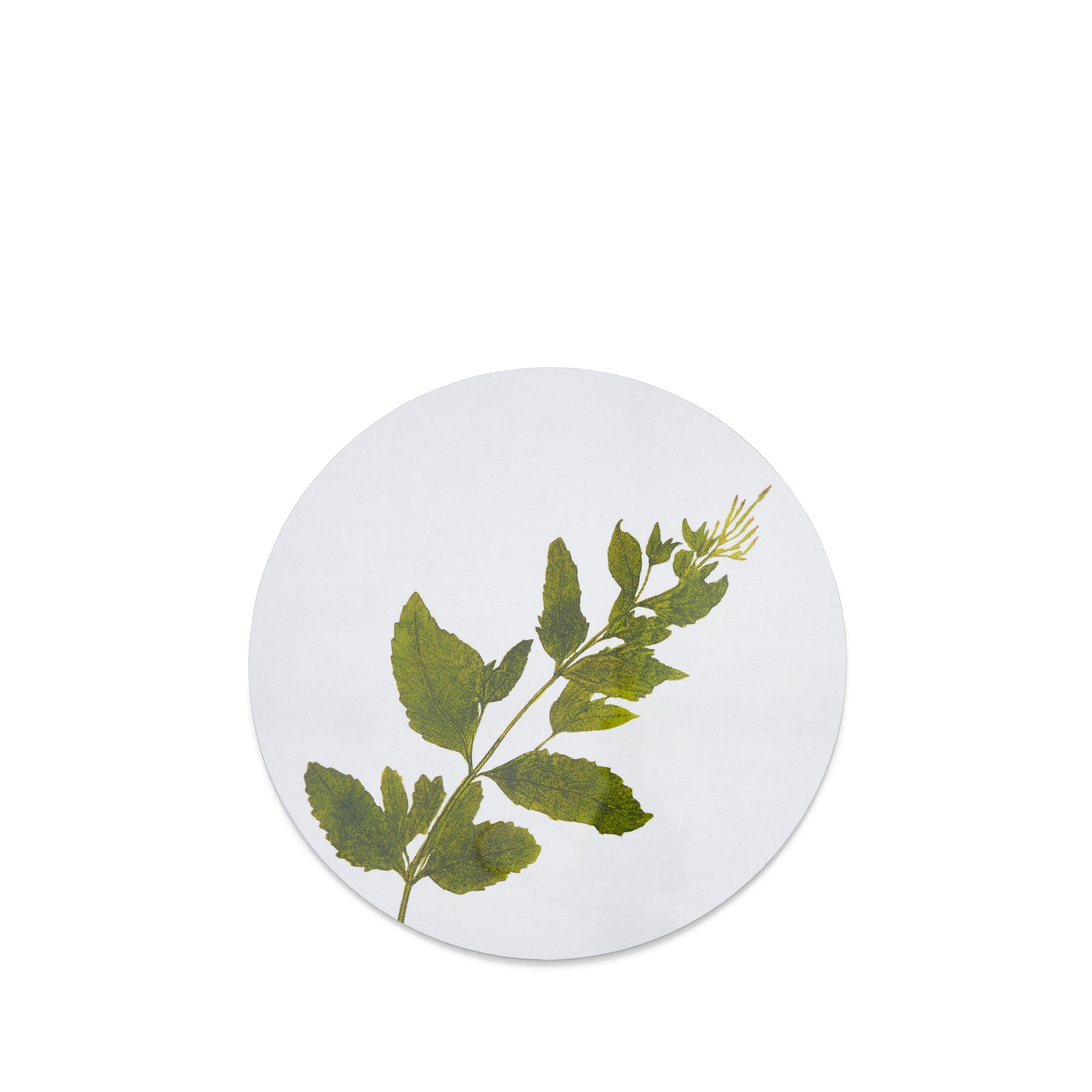 Herbarium Round Cork-backed Placemat in Verbena, 34cm