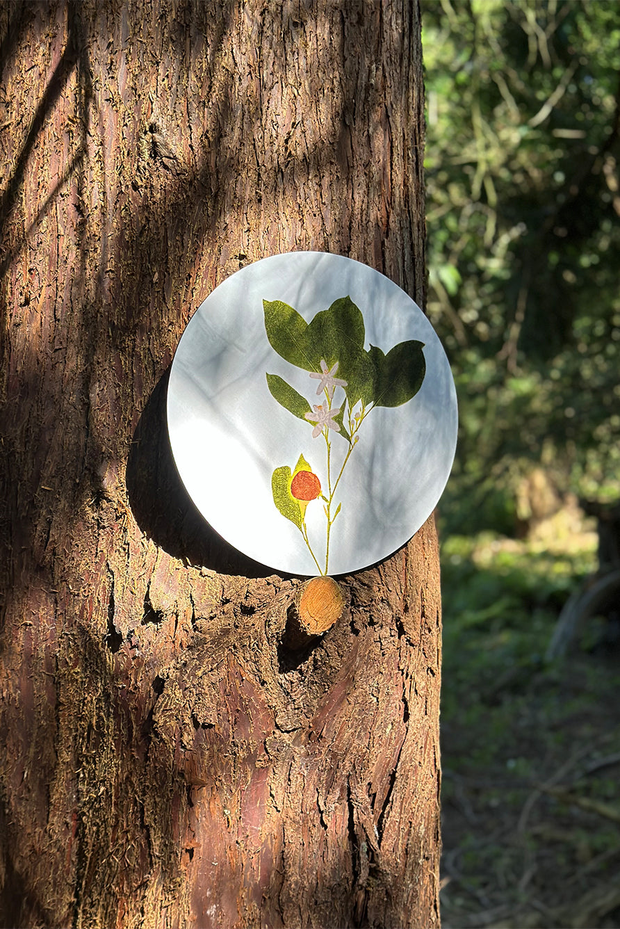 Herbarium Round Cork-backed Placemat in Citrus, 34cm