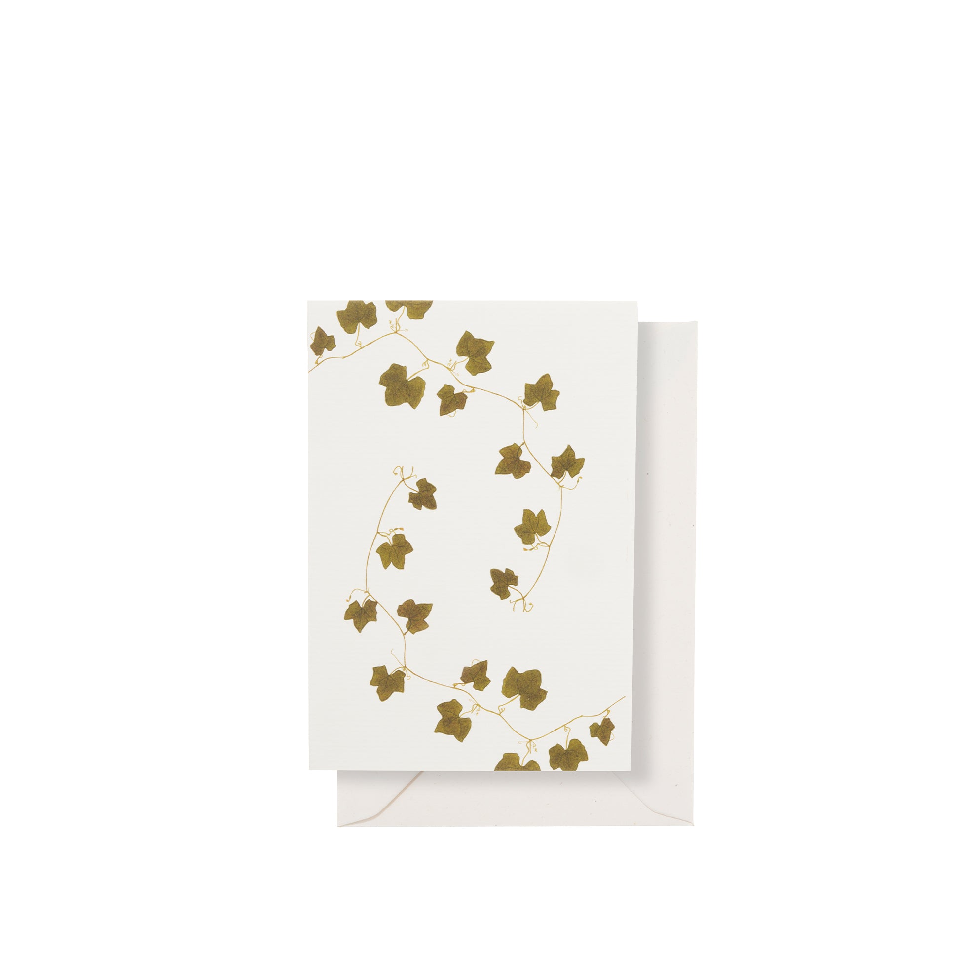 'Ivy' Greeting Card, 15cm x 10cm (A6)