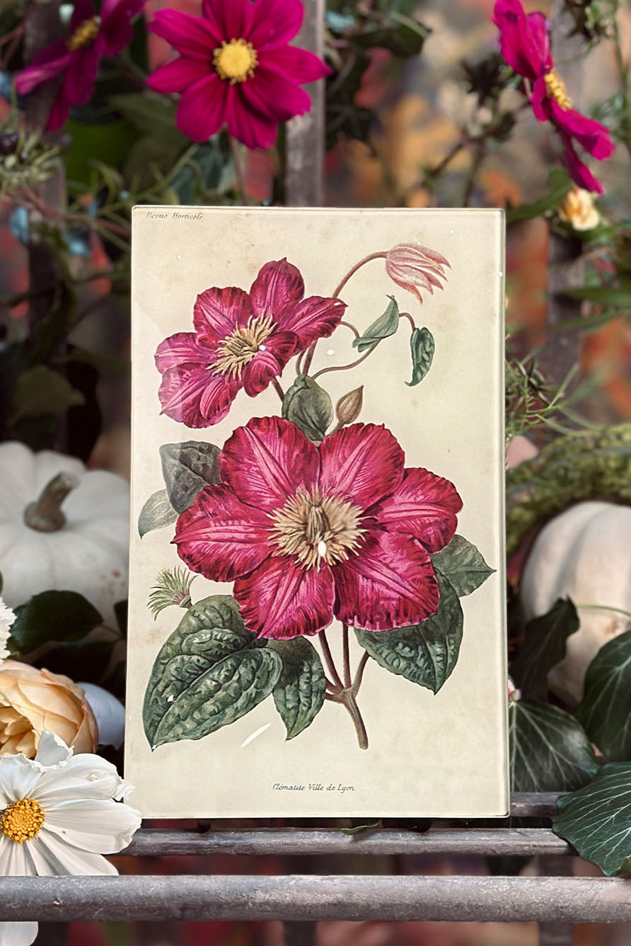 John Derian 'Water Lilies on Water' Rectangular Tray, 20x27cm