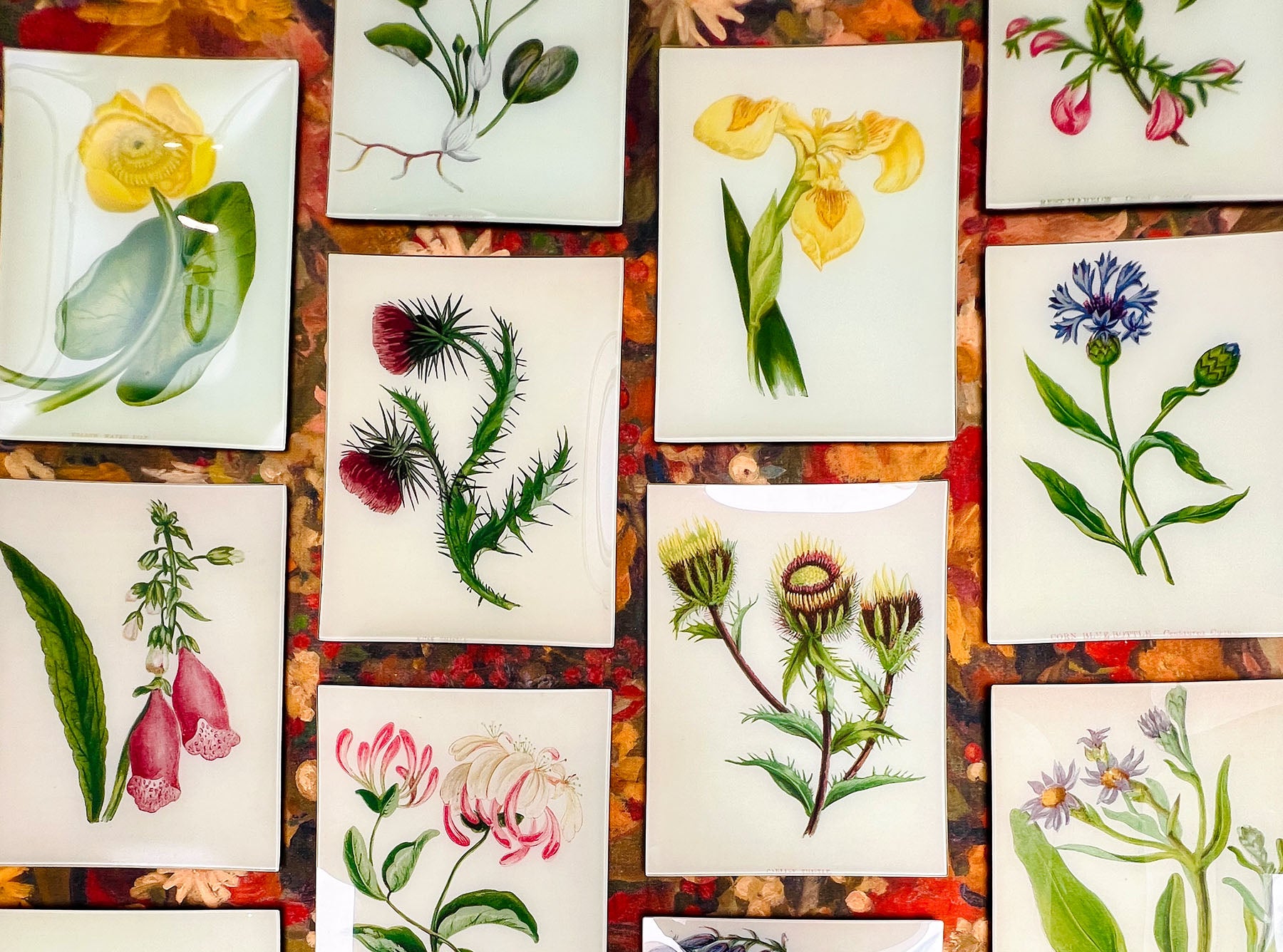 John Derian 'Hippeastrum Orange' Rectangular Tray, 13 x 20cm