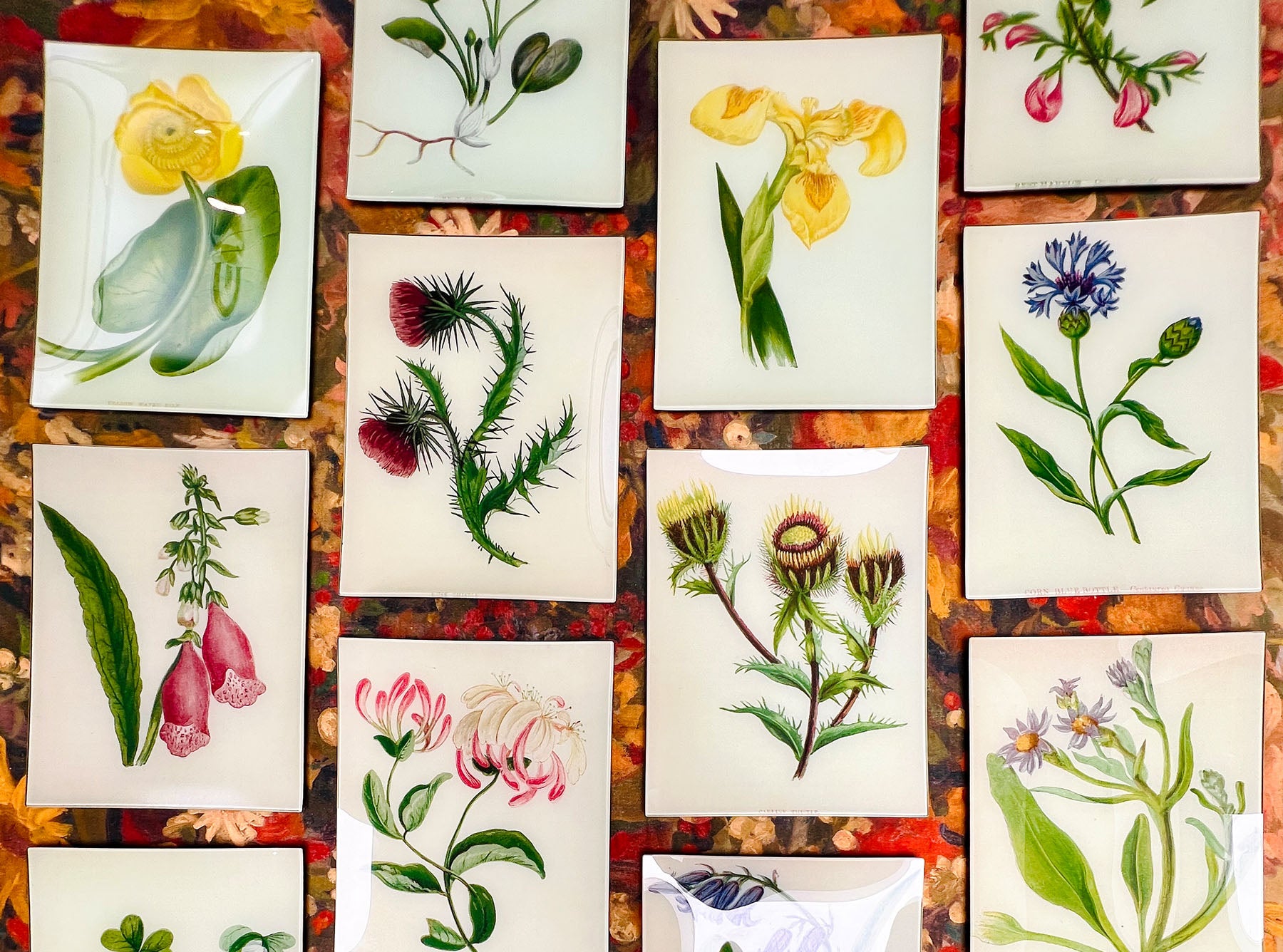 John Derian 'Rhododendron Joseph Whitworth' Rectangular Tray, 25 x 33cm