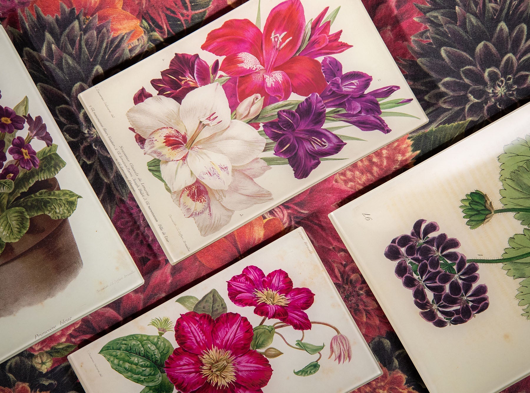 John Derian 'Darwin Tulips' Rectangular Medium Tray, 18 x 29cm