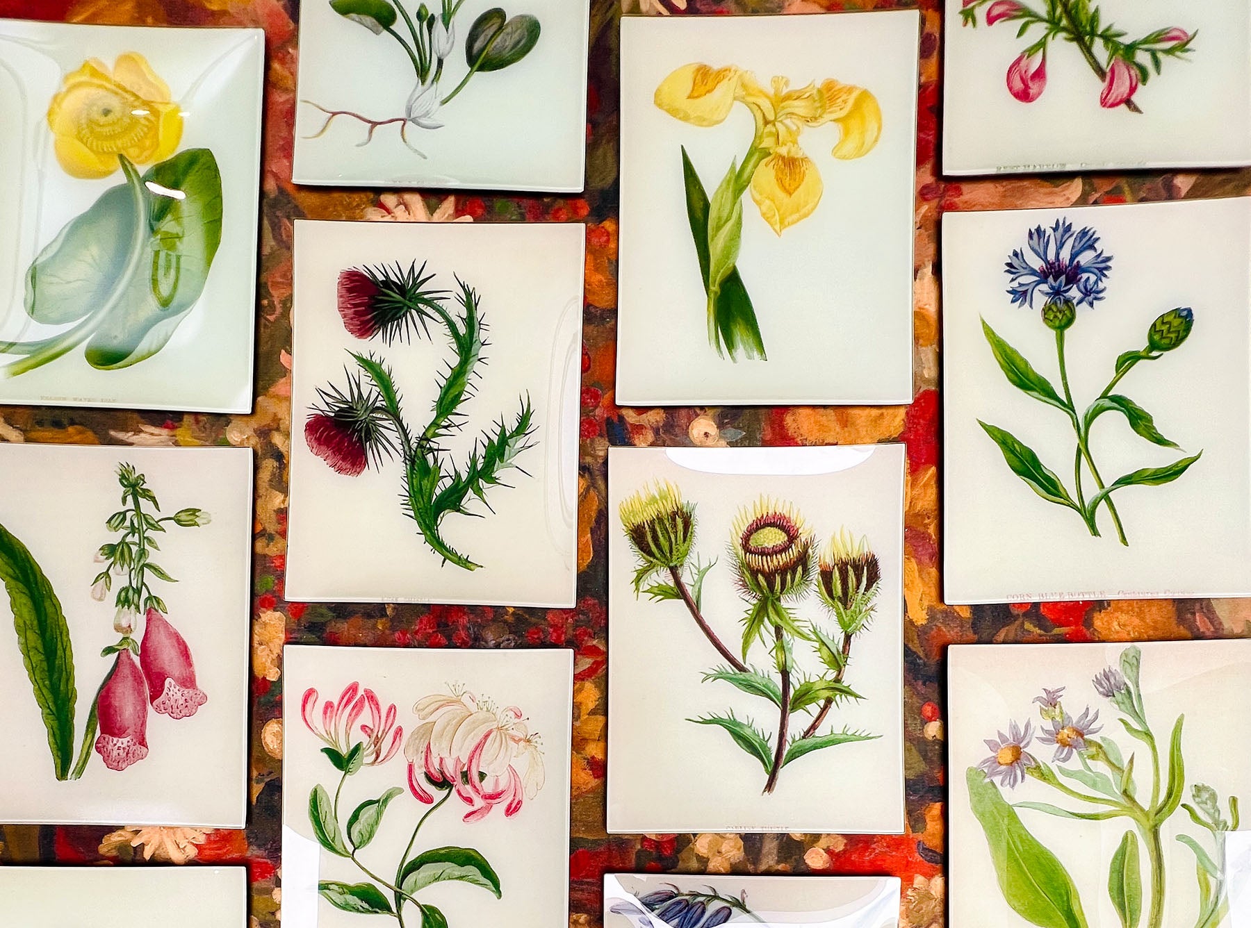 John Derian 'The Vase of Flowers II' Rectangular Tray, 28 x 35.5cm