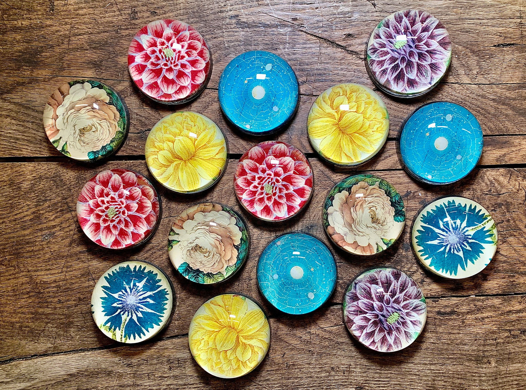 John Derian 'Corsage Star' Paperweight, 11cm