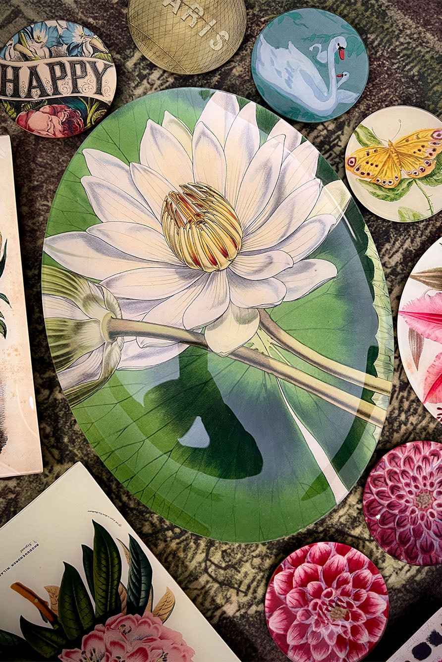 John Derian 'Nymphaea' Oval Platter, 35.5 x 48 cm