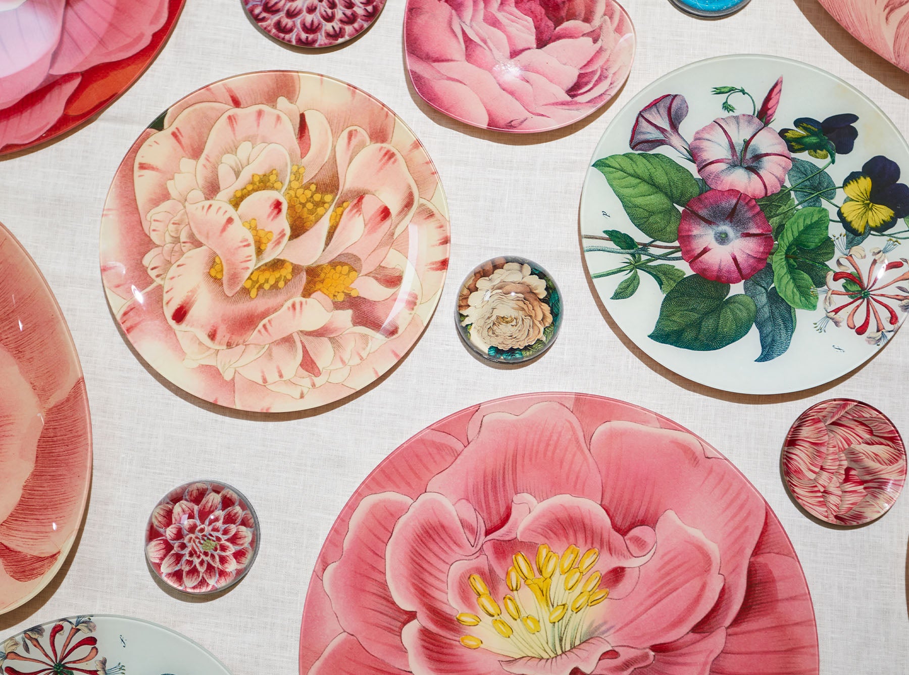 John Derian 'Light Purple Dahlia' Plate, 13cm