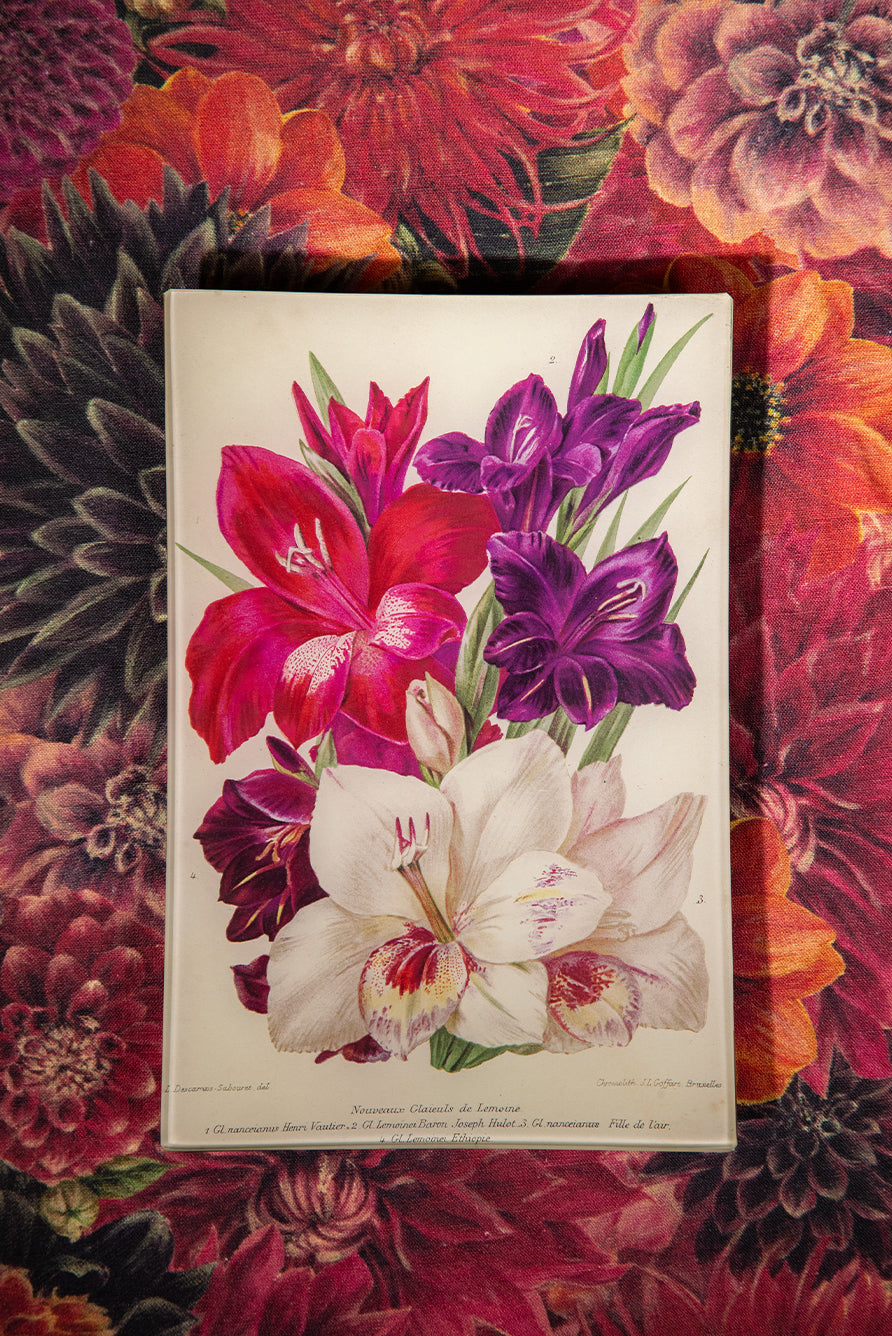John Derian 'Gladiolas of Lemoine' Medium Tray, 15 x 23cm