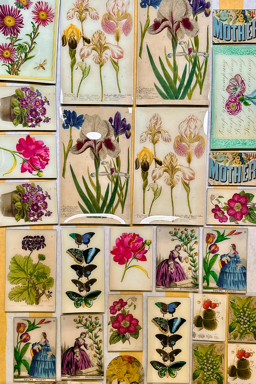 John Derian 'Five Winged' Rectangular Tray, 15 x 30cm