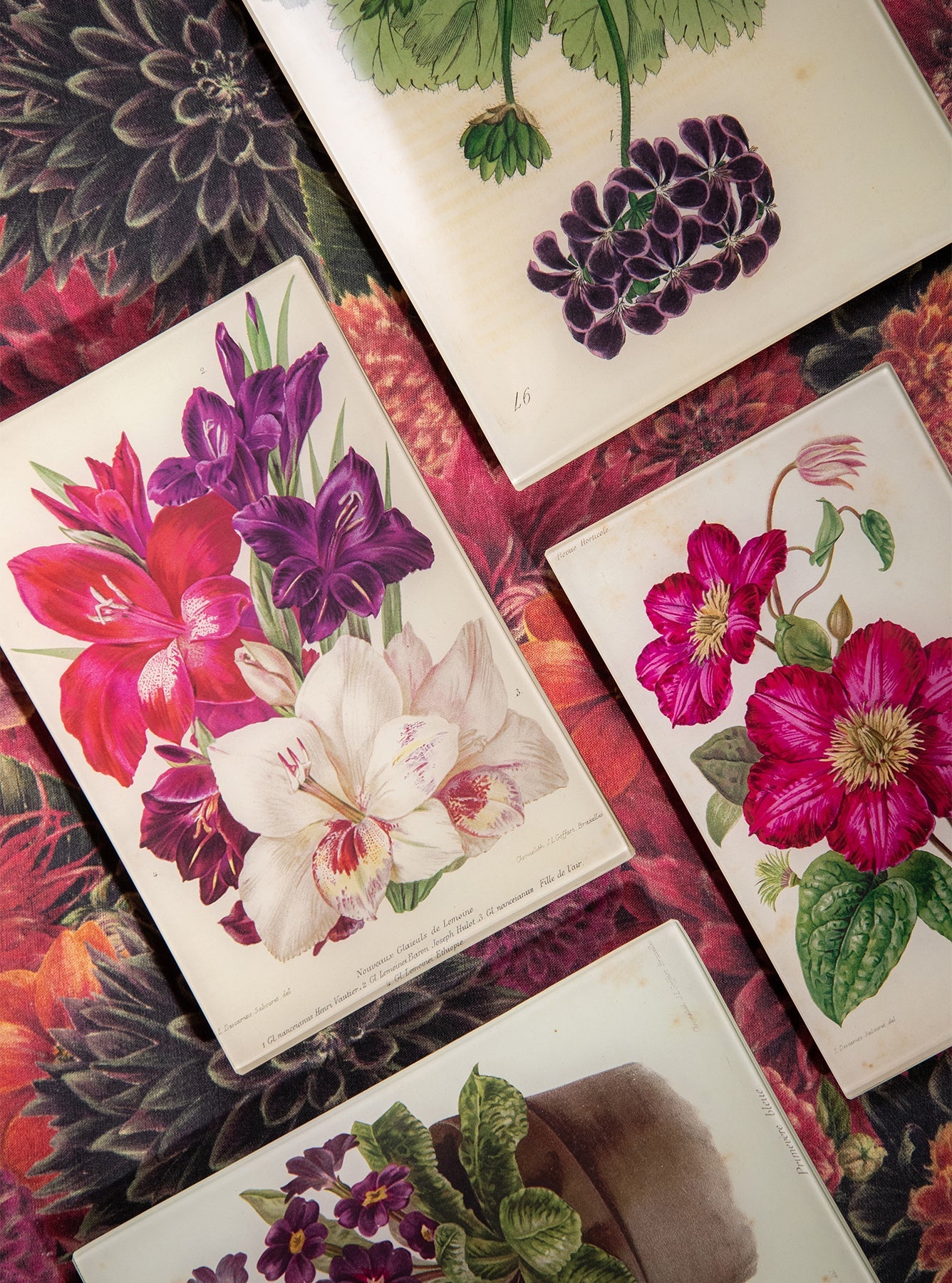 John Derian 'Purple Geranium' Large Tray, 18 x 29cm