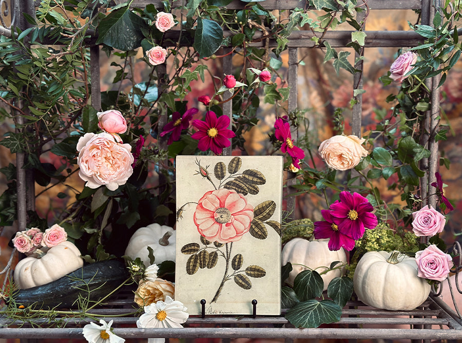 John Derian 'Five Winged' Rectangular Tray, 15 x 30cm