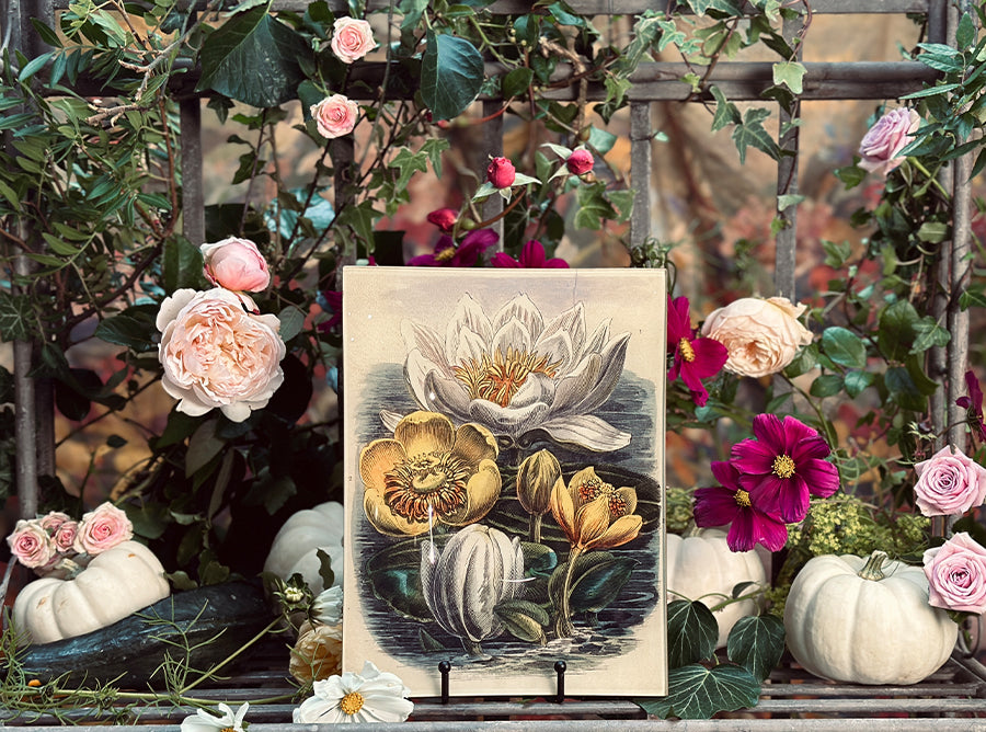 John Derian 'Rose & Peacock P291' Rectangular Tray, 28 x 35.5cm