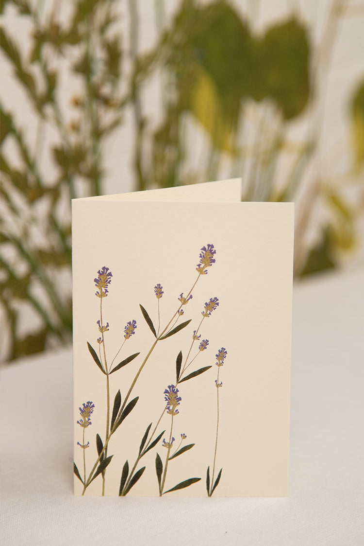 'Lavender' Greeting Card, 15cm x 10cm (A6)