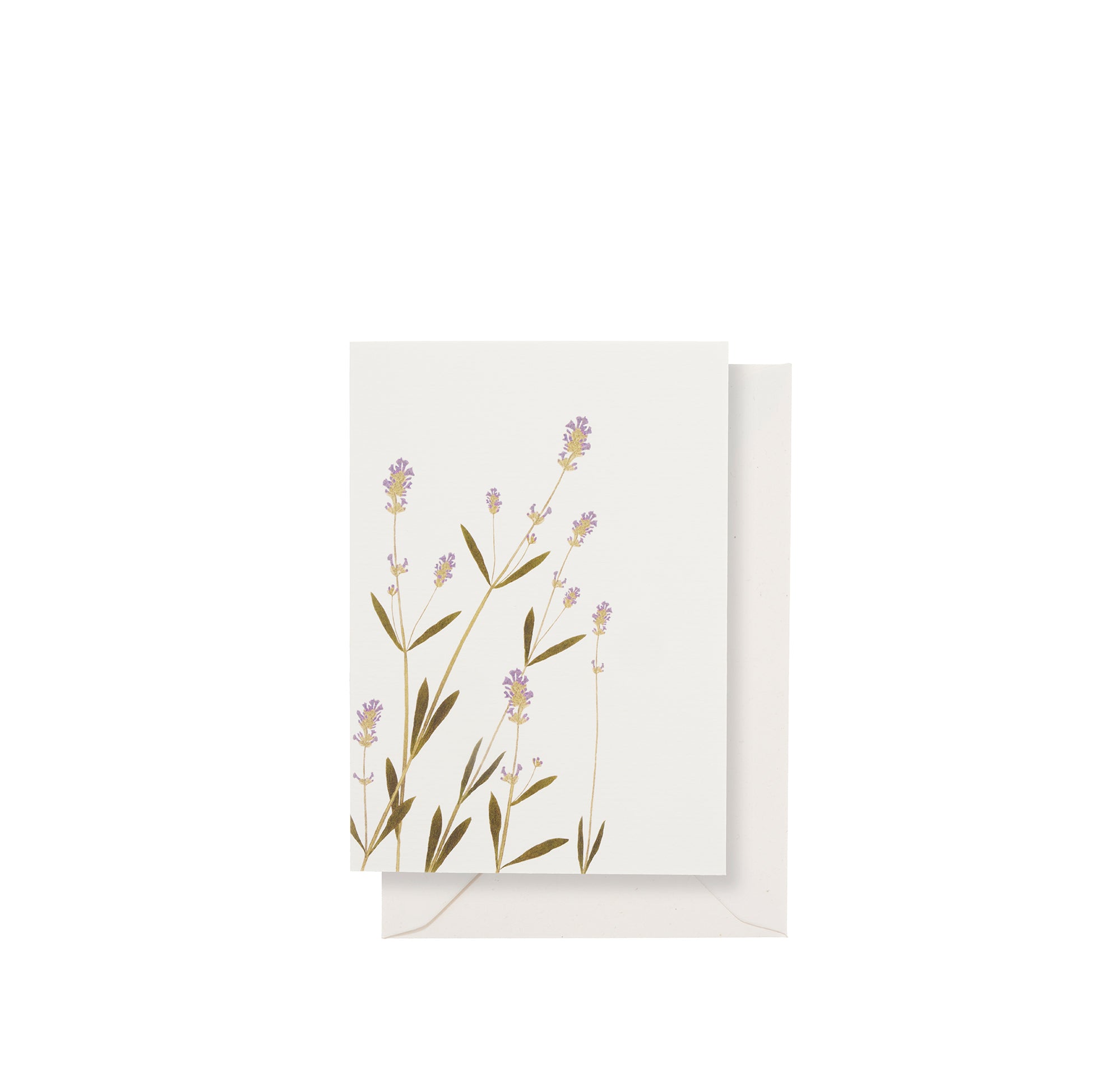 'Lavender' Greeting Card, 15cm x 10cm (A6)