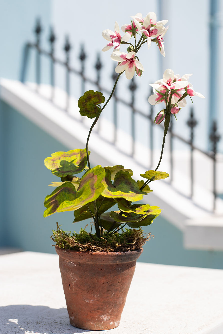 Light Pink Geranium Paper Flowers & Clay Pot