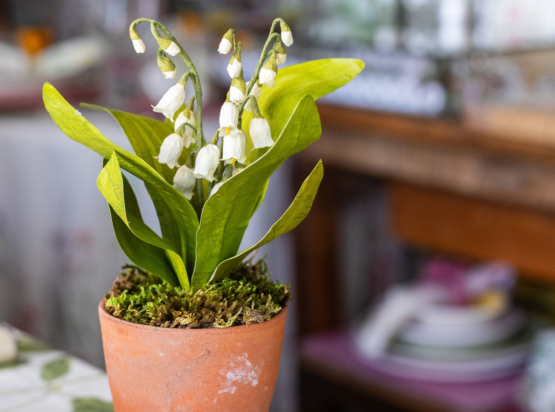 Lily of the Valley Paper Flowers & Clay Pot