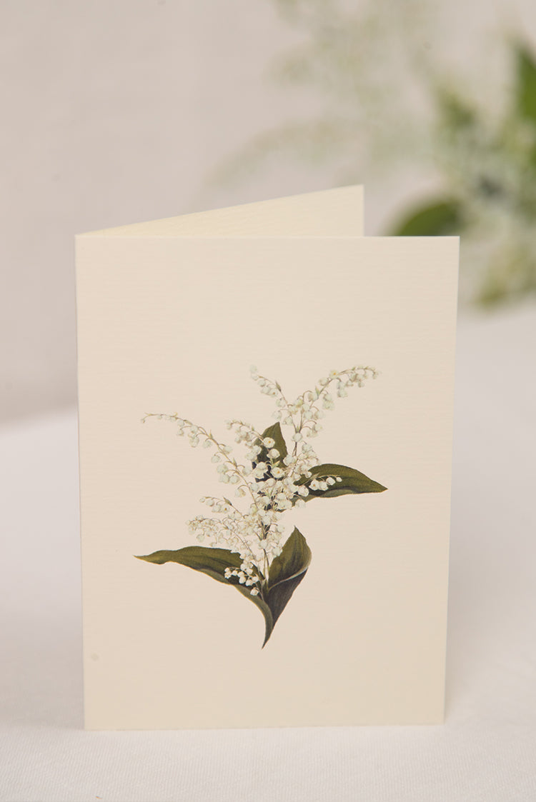 'Lily of the Valley' Greeting Card, 15cm x 10cm (A6)