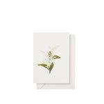 'Lily of the Valley' Greeting Card, 15cm x 10cm (A6)