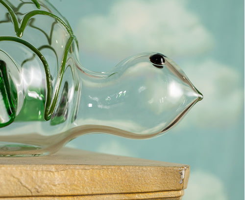 Handblown Glass Turtle Decanter, 26cm