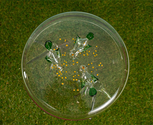 Handblown Glass Bird Seed Cake Stand, 31cm