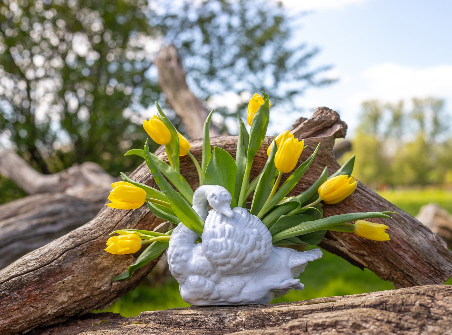 Swan Vase by Astier de Villatte, 23.5cm
