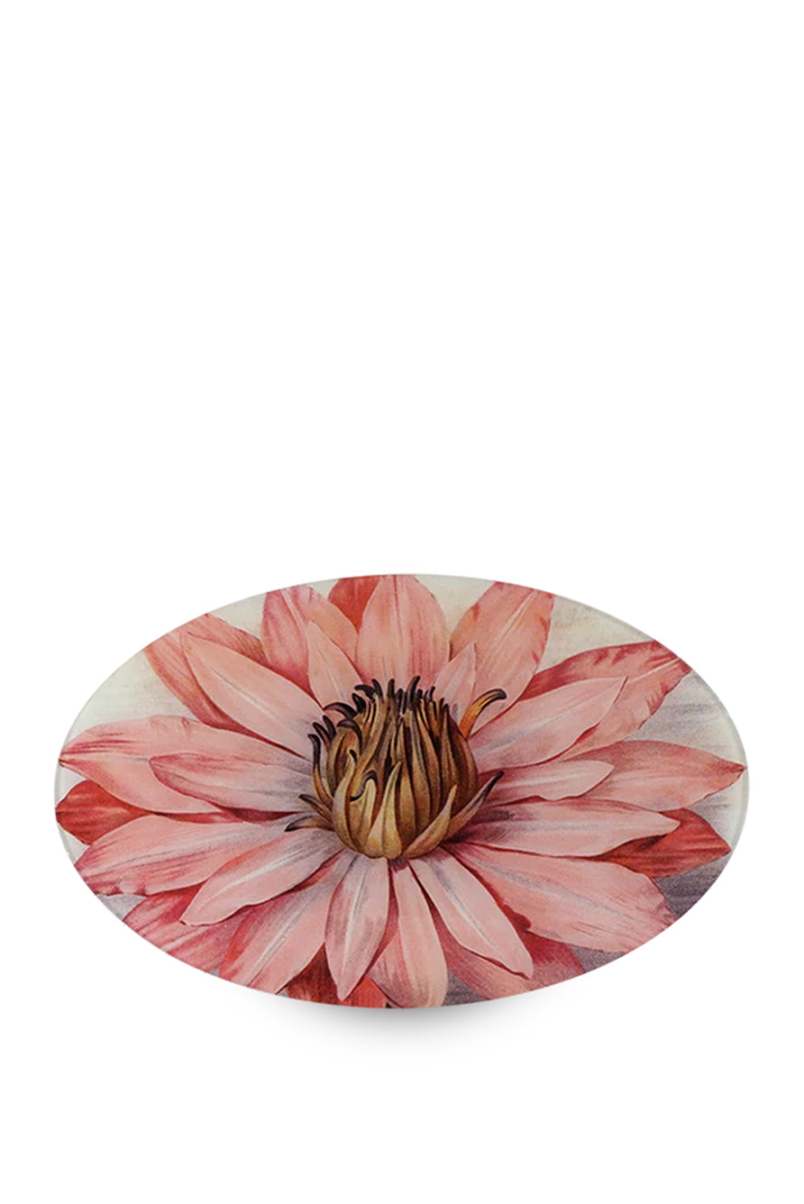 John Derian Nymphaea Water Lily Oval Platter, 23 x 35cm