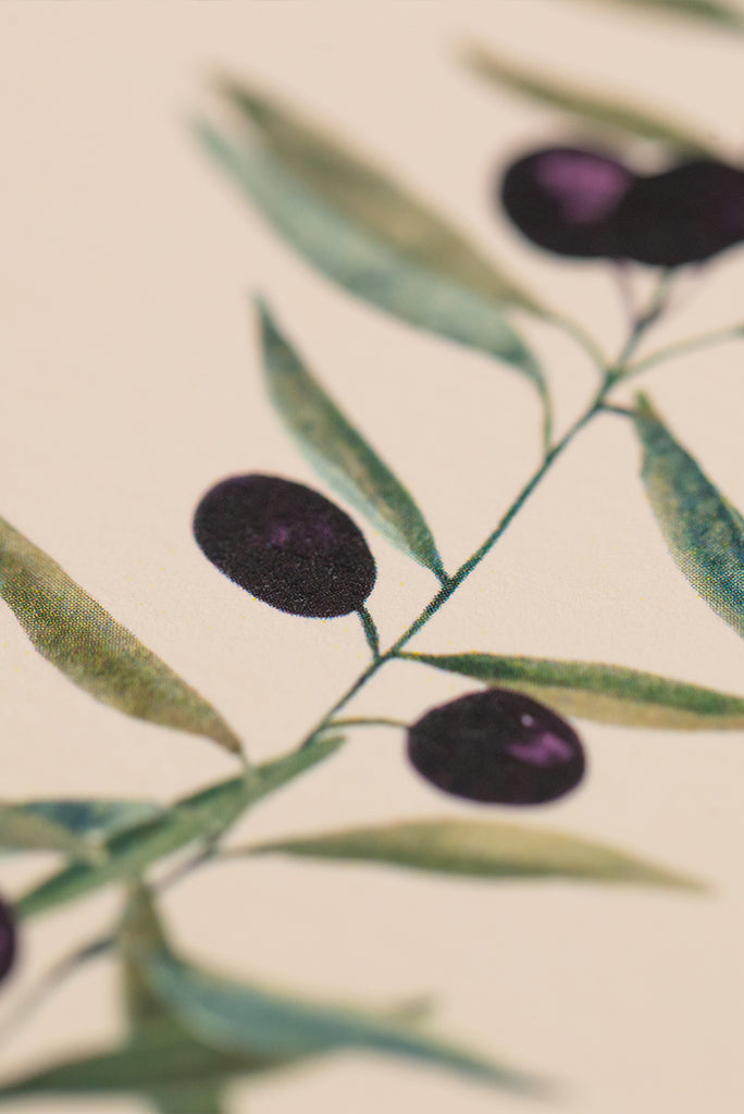 'L'Olivier' Greeting Card, 15cm x 10cm (A6)