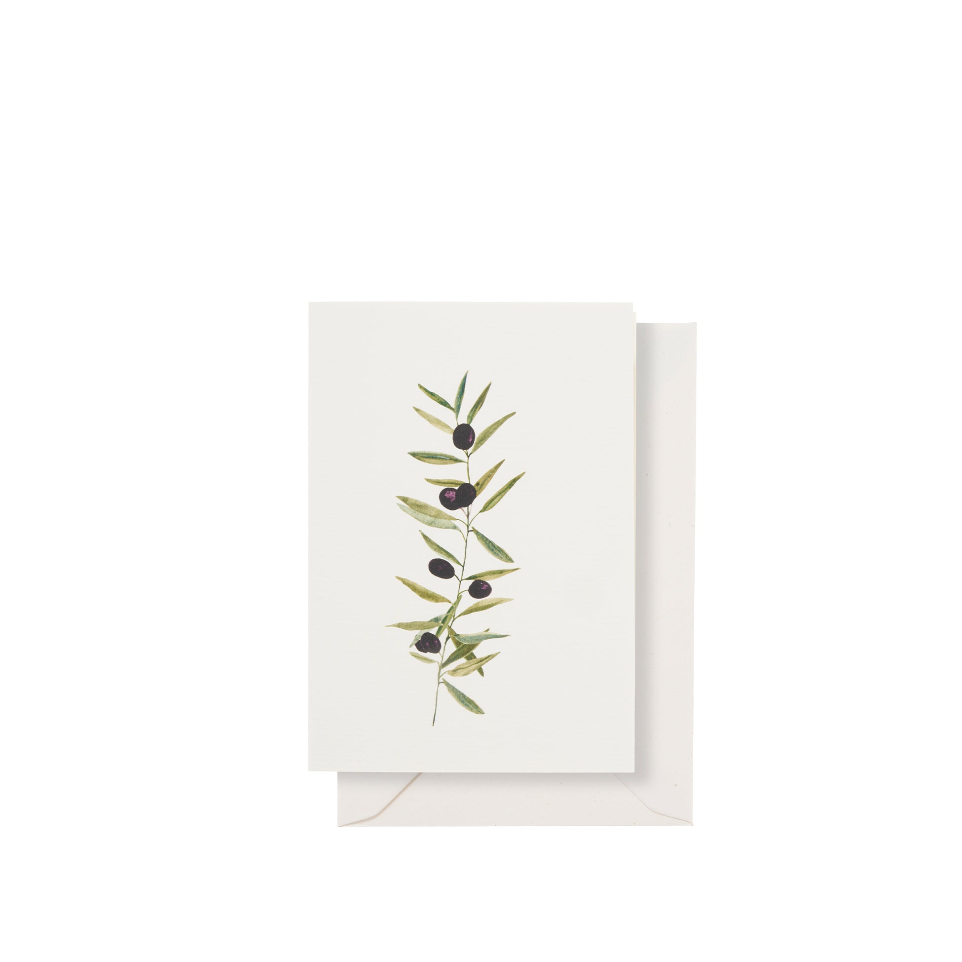 'L'Olivier' Greeting Card, 15cm x 10cm (A6)