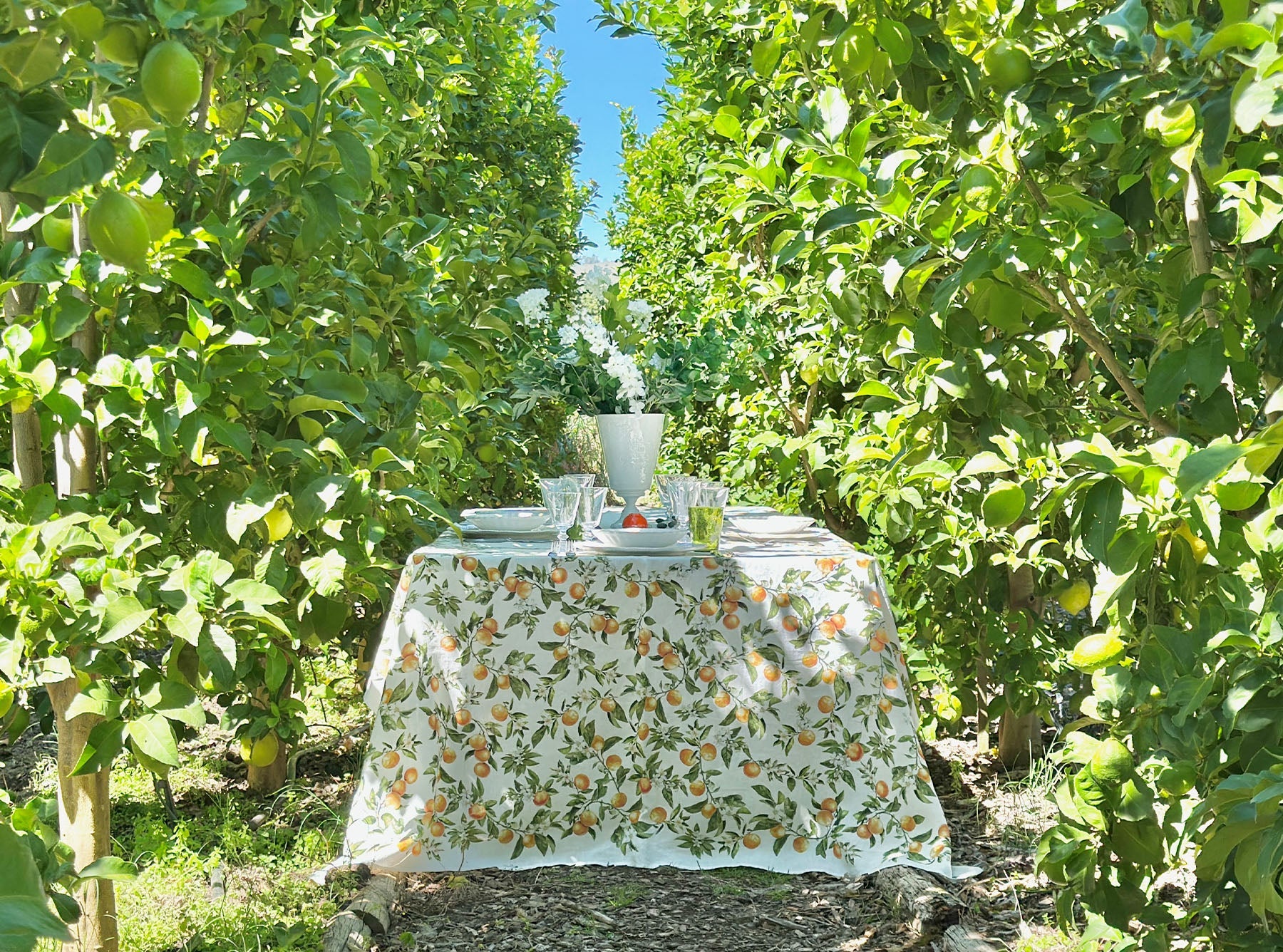 Table set with a orange branch linen tablecloth in an orchard
