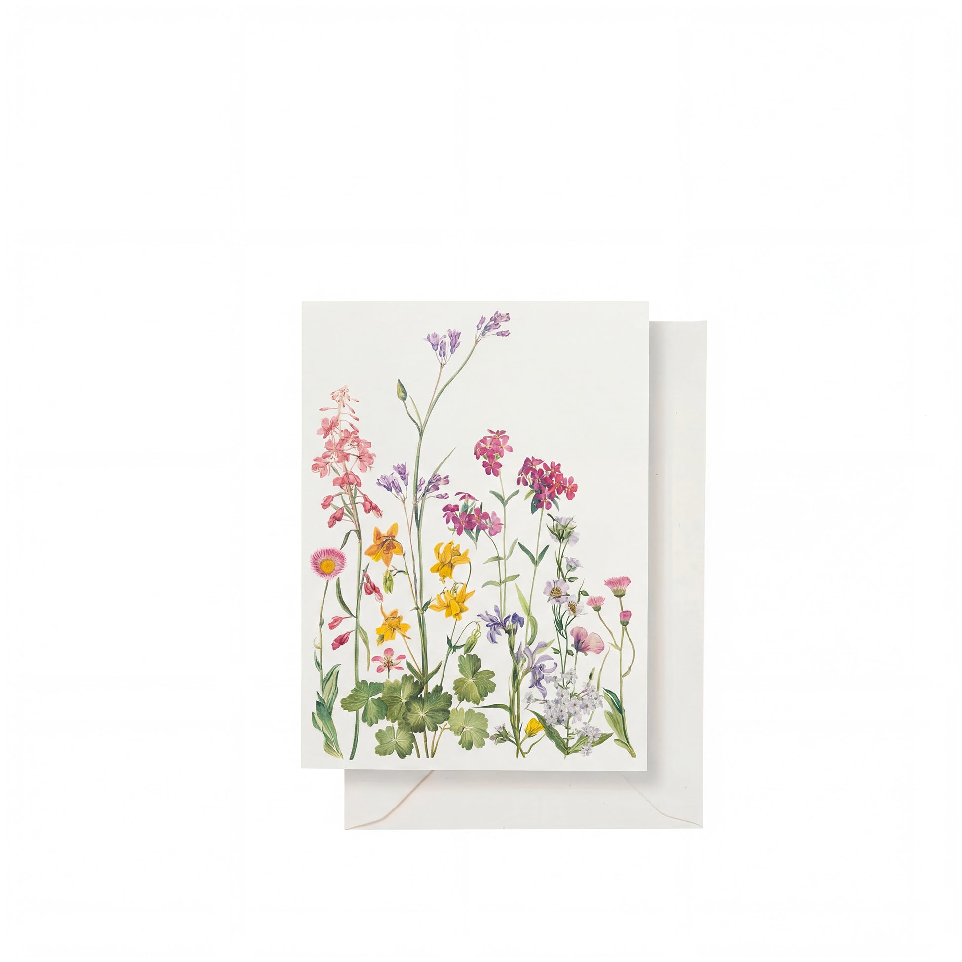 'Our June' Greeting Card, 15cm x 10cm (A6)