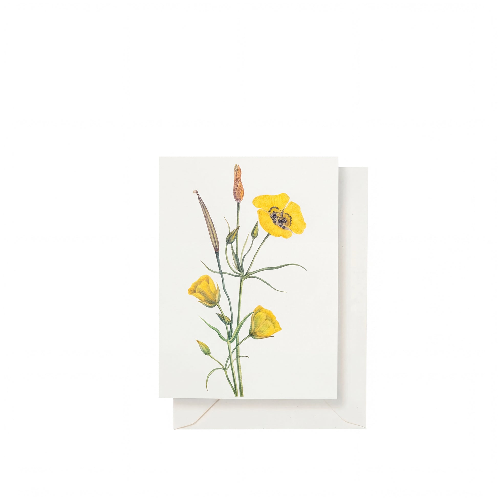 'Our June' - Yellow Mariposa Greeting Card, 15cm x 10cm (A6)
