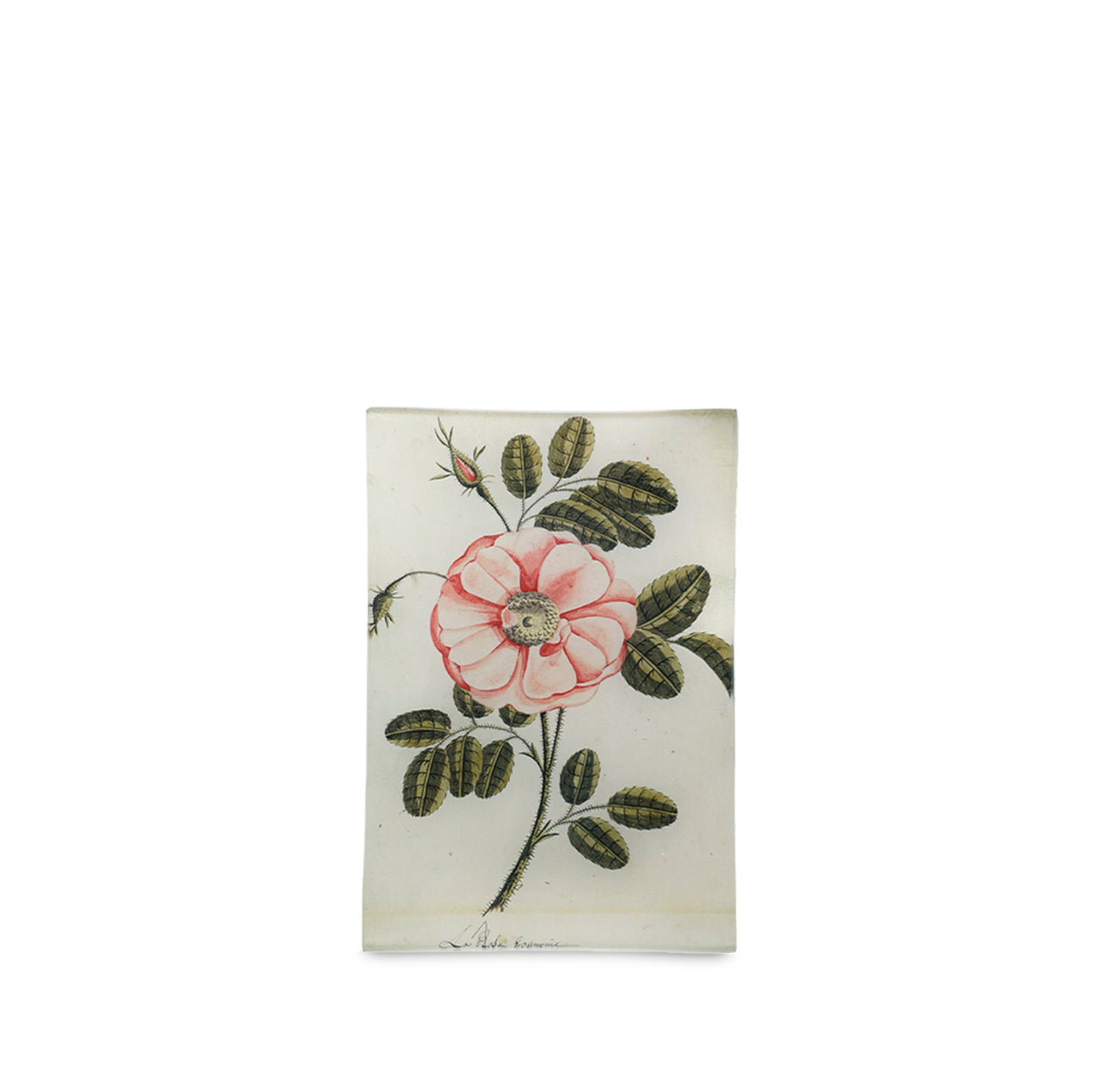 John Derian 'Painted Rose' Rectangular Tray, 15 x 23cm