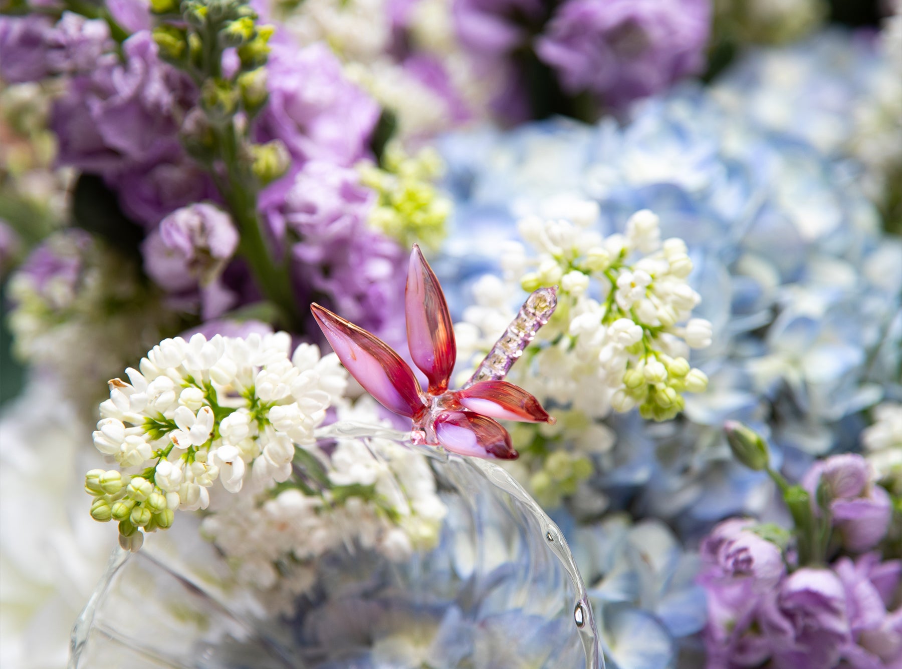 S&B Exclusive Handblown Glass Dragonfly Bowl in Pink