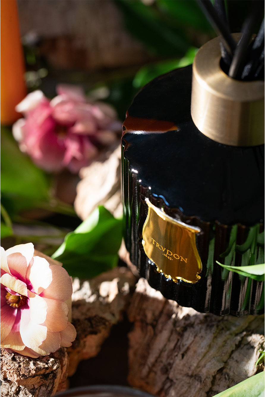 'Figuerie' Special Edition White Fig, Hyacinth & Sandalwood Diffuser by Trudon, 350ml