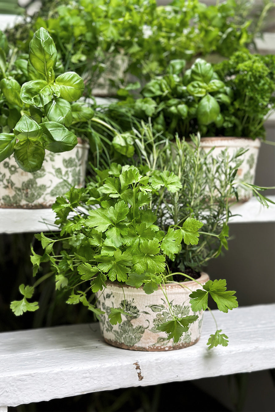 Stoneware Painted Green Floral Plant Pot, Medium 20cm