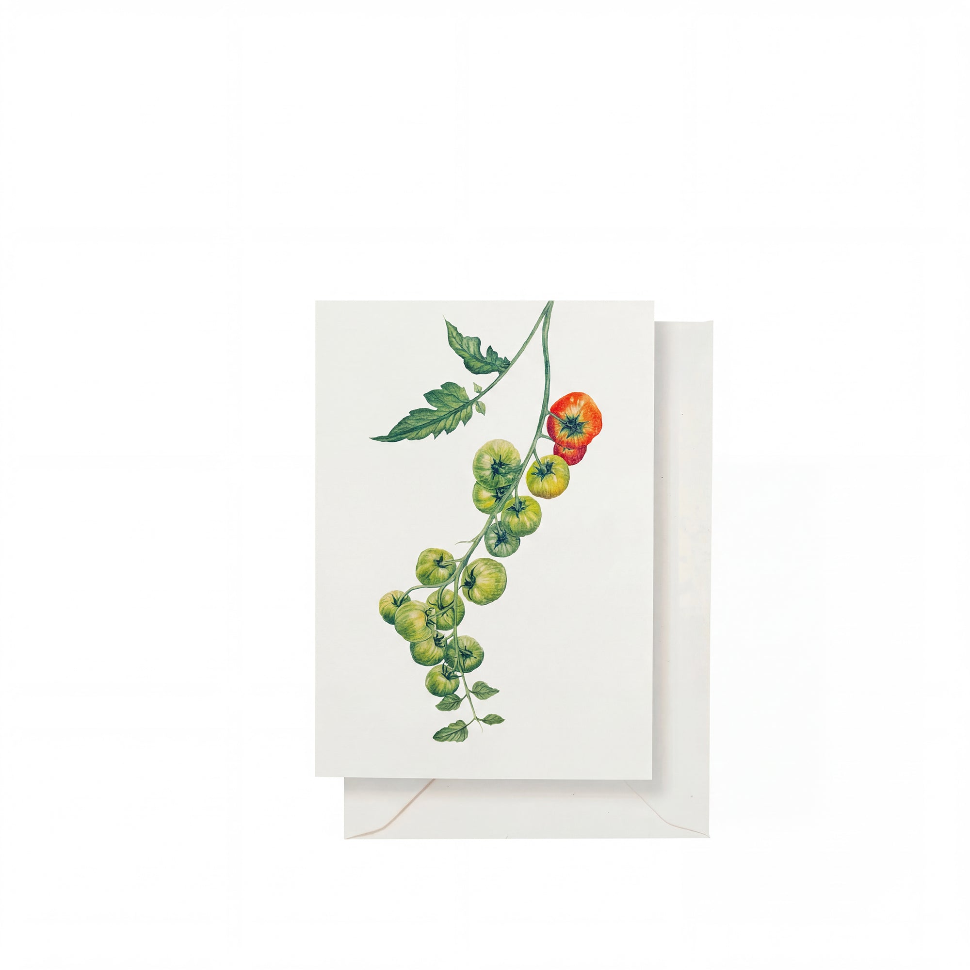'Tomato Verte' Greeting Card, 15cm x 10cm (A6)