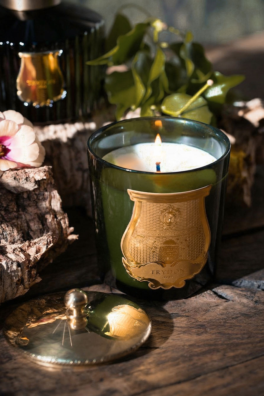 Classic Candle 'Cire' by Trudon, 270g