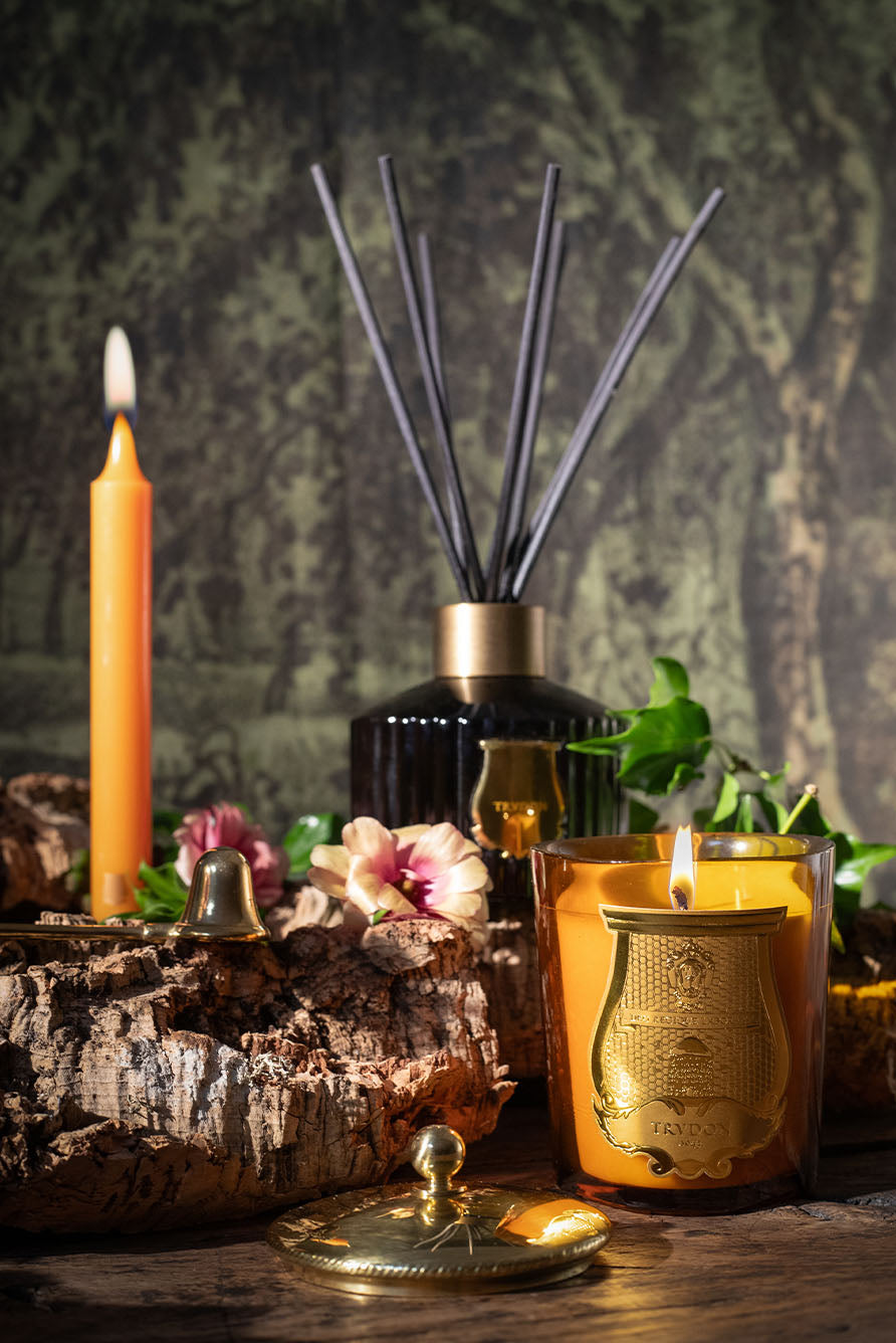 Classic Candle 'Cire' by Trudon, 270g