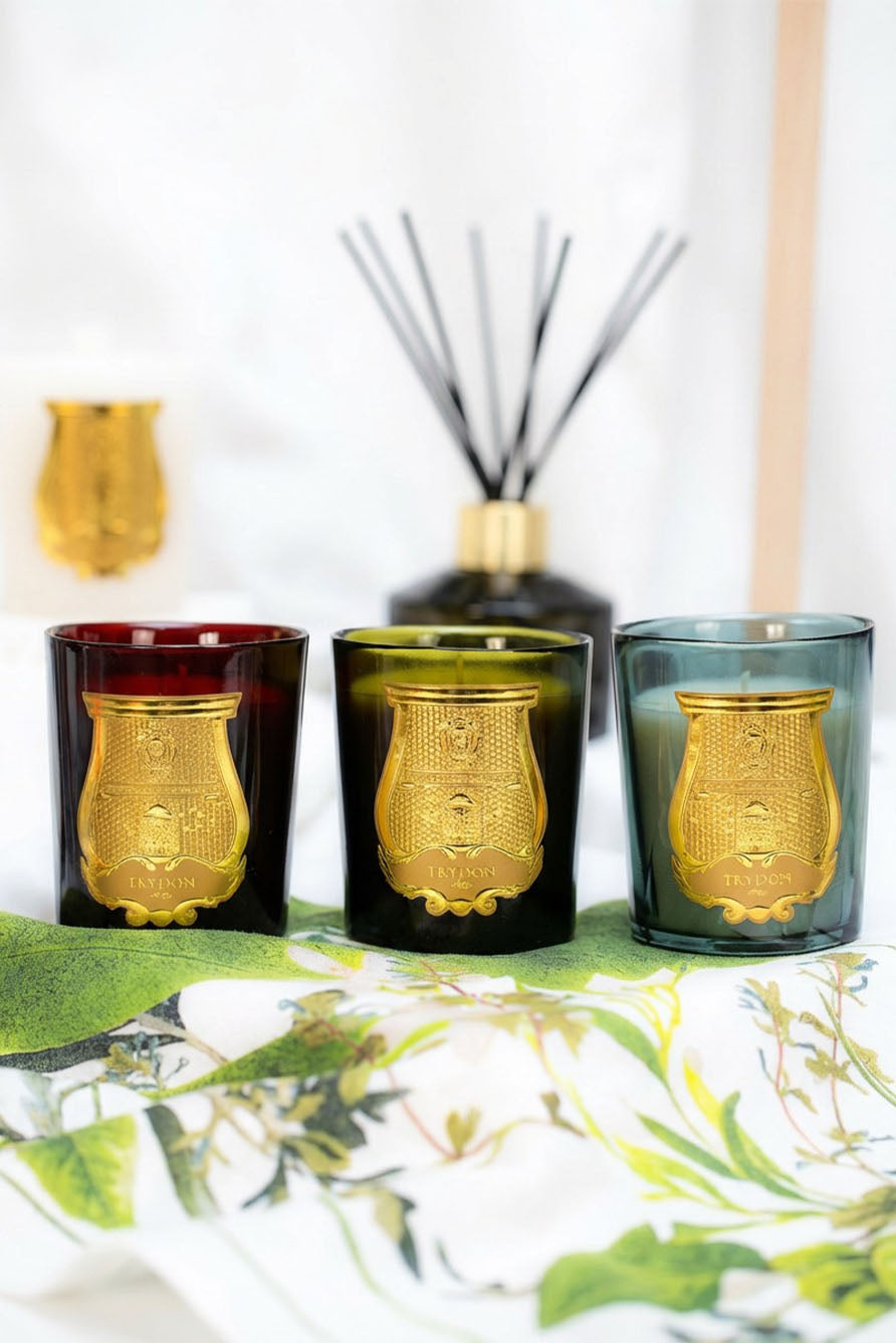 Special Edition Candle 'Figuerie' by Trudon, 270g