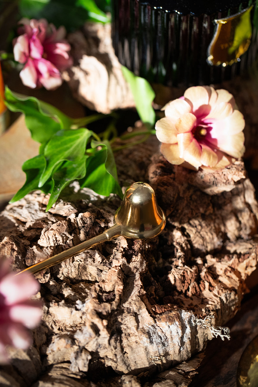 Gold Brass Candle Snuffer by Trudon