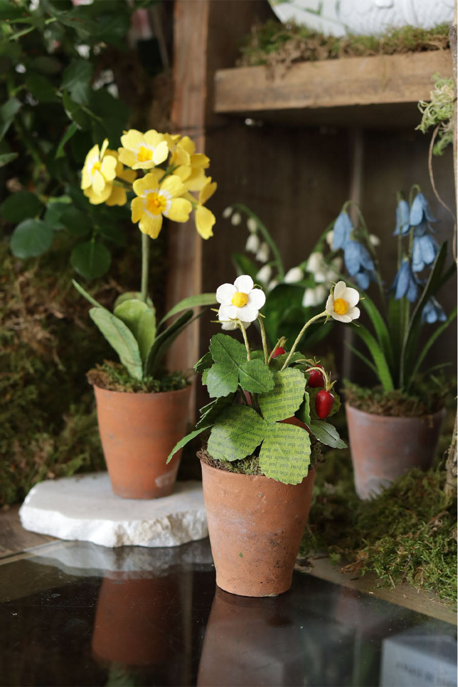 Bluebells Paper Flowers & Clay Pot