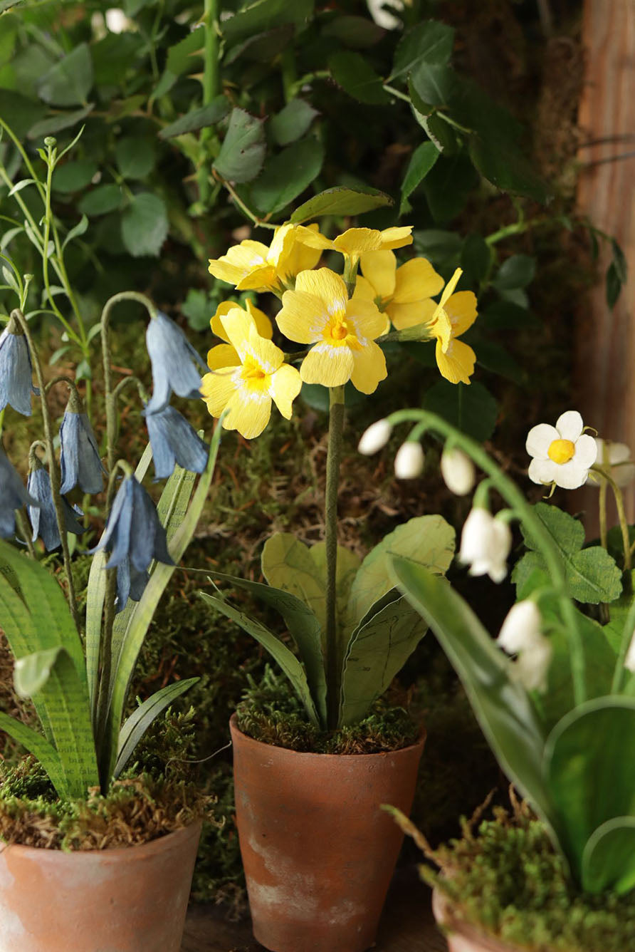 Yellow Primula Paper Flowers & Clay Pot