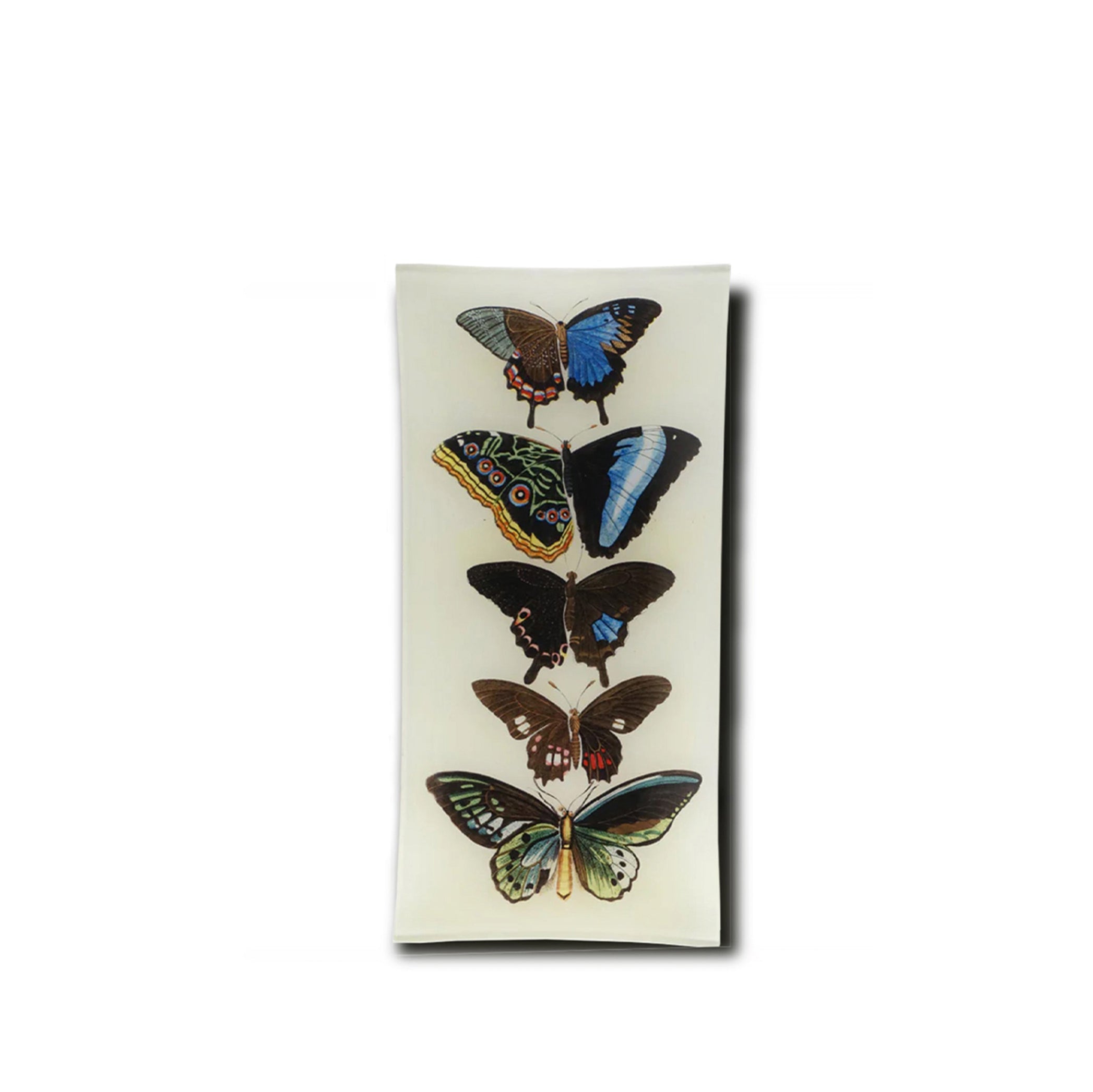 John Derian 'Five Winged' Rectangular Tray, 15 x 30cm