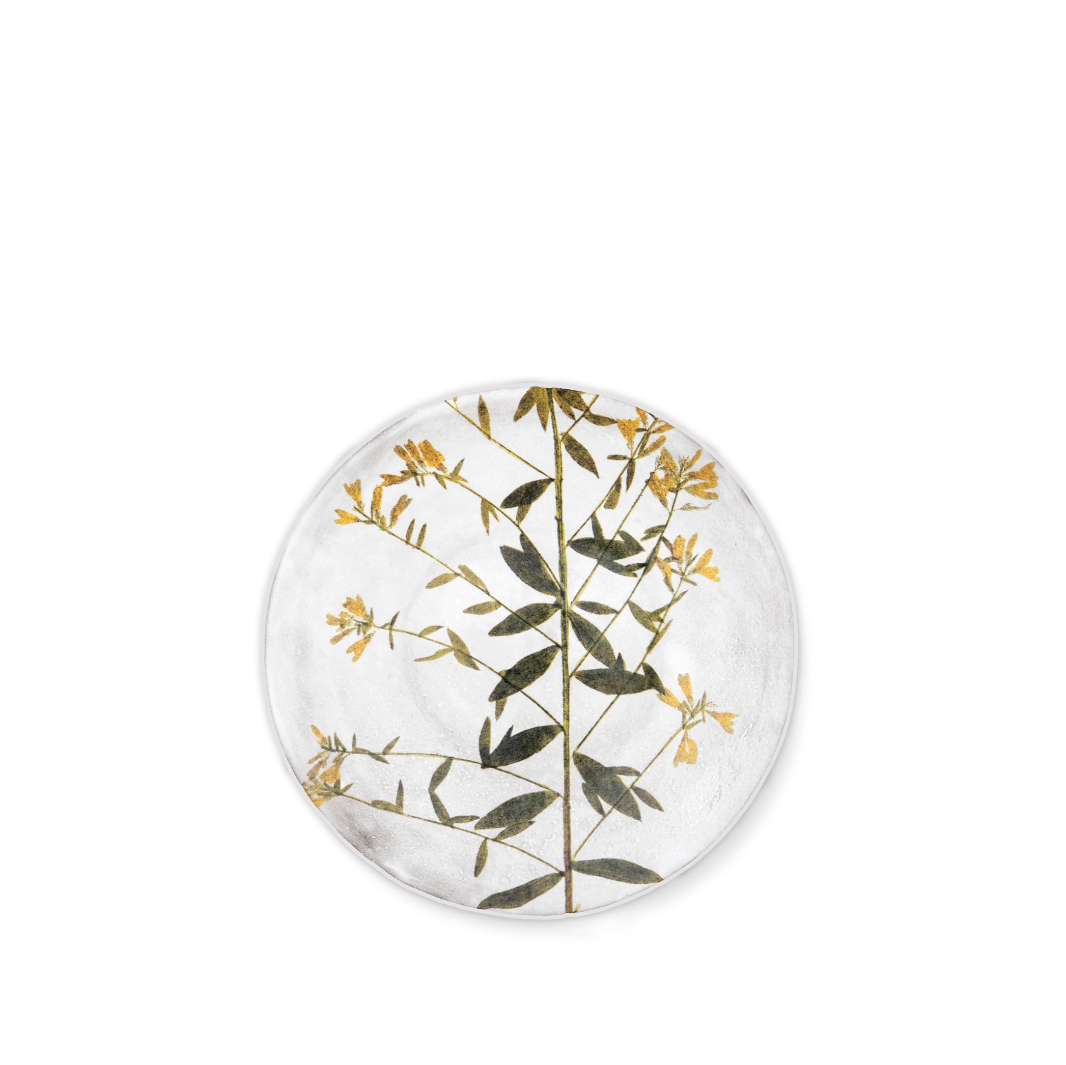 Genista Leaf Plate by Astier de Villatte, 24cm
