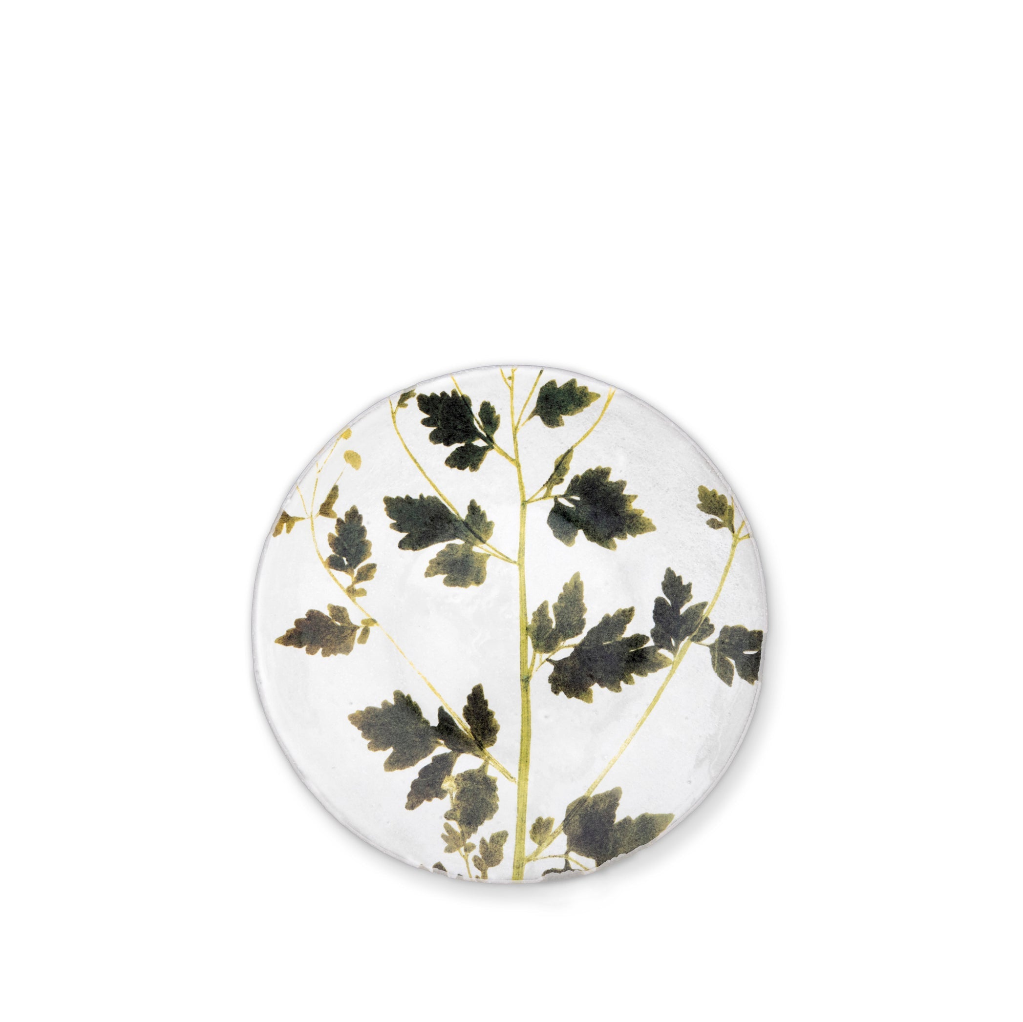 Matricaria Leaf Plate by Astier de Villatte, 24cm