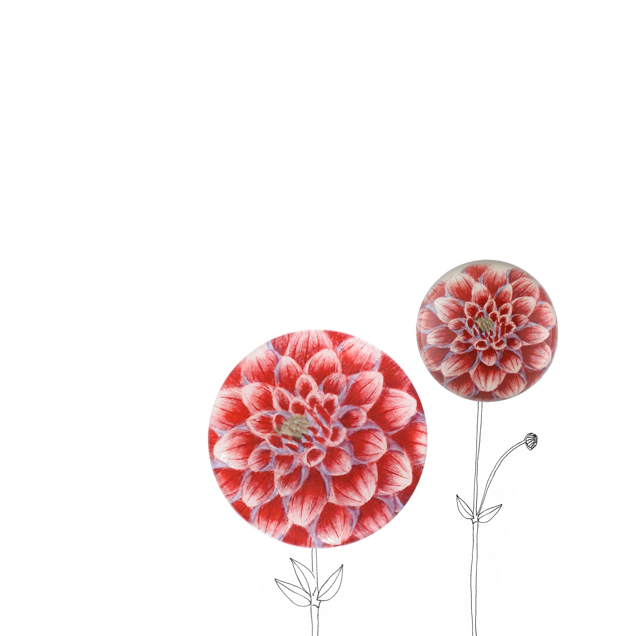 John Derian 'Dark Pink Dahlia' Plate, 13cm