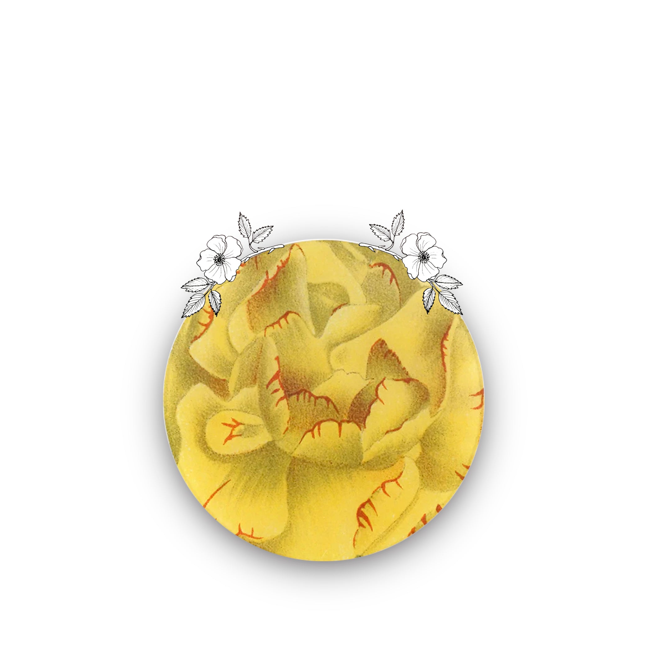 John Derian Round 'Dianthus G' Plate in Yellow, 20cm